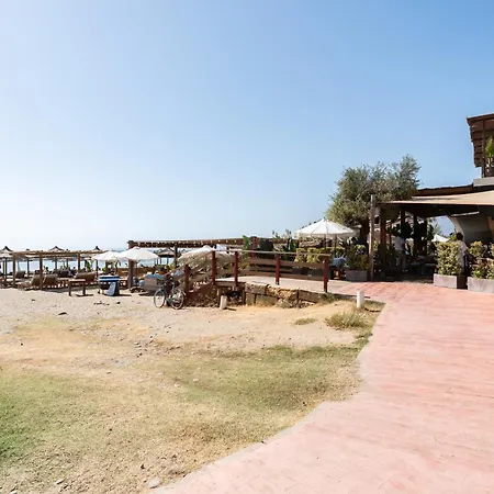 Amazing Venalmar * エステポナ